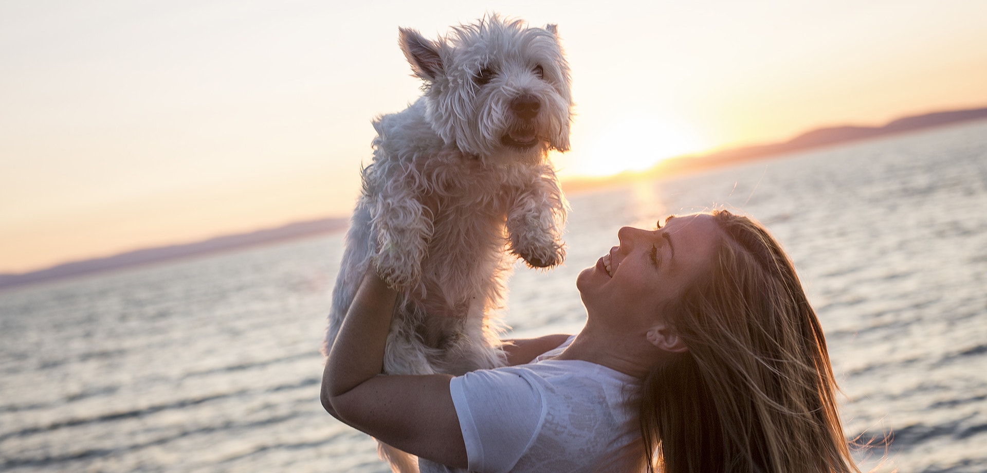 Hundefreundliches REISEN