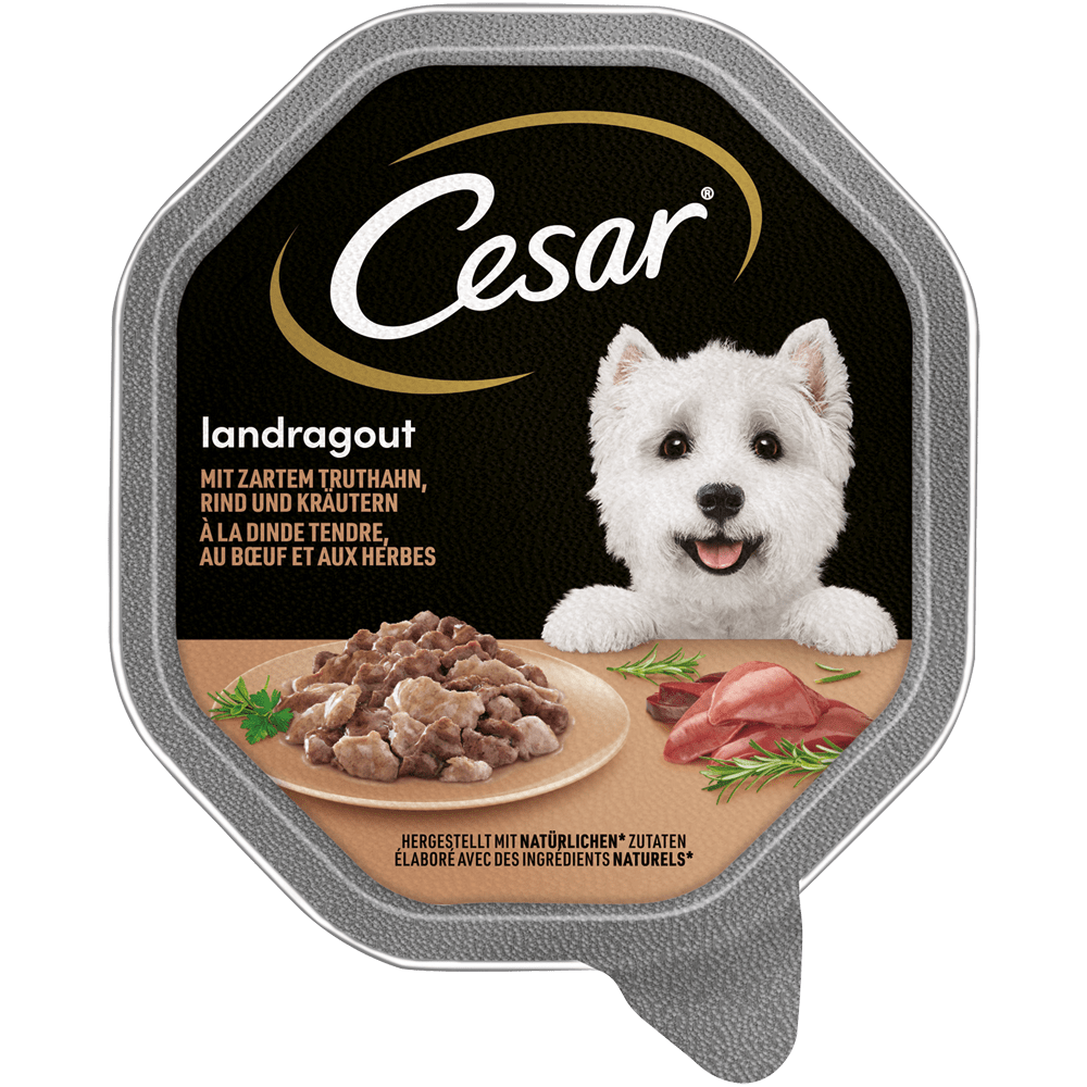 CESAR® Landragout mit Truthahn & Rind, 150g - 1