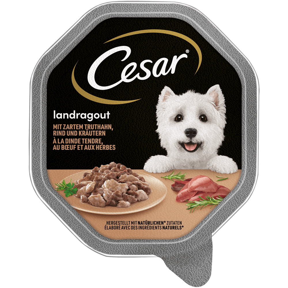 CESAR® Landragout mit Truthahn, Rind und Kräutern, Schale 150g - 1