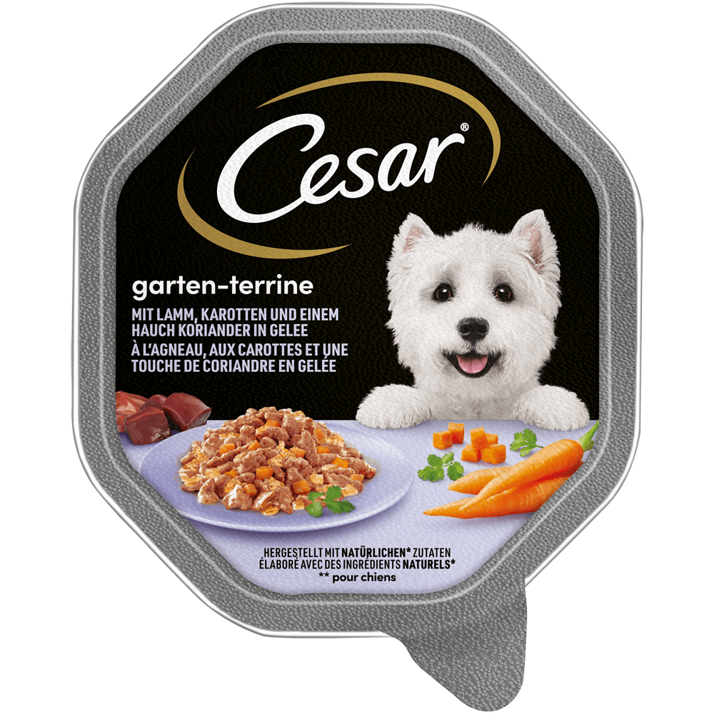 CESAR® Garten-Terrine mit Lamm, Karotten und Koriander in Gelee, Schale 150g - 1