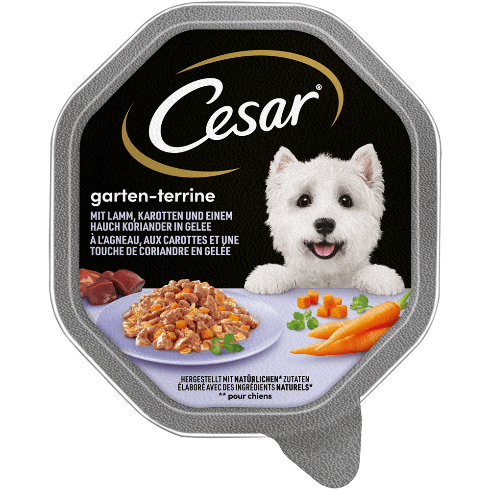CESAR® Garten-Terrine in Gelee mit Lamm, Karotten & Koriander, 150g - 1