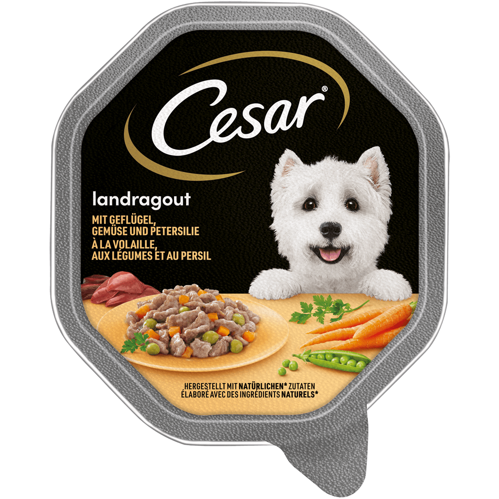 CESAR® Landragout mit Geflügel, 150g - 1