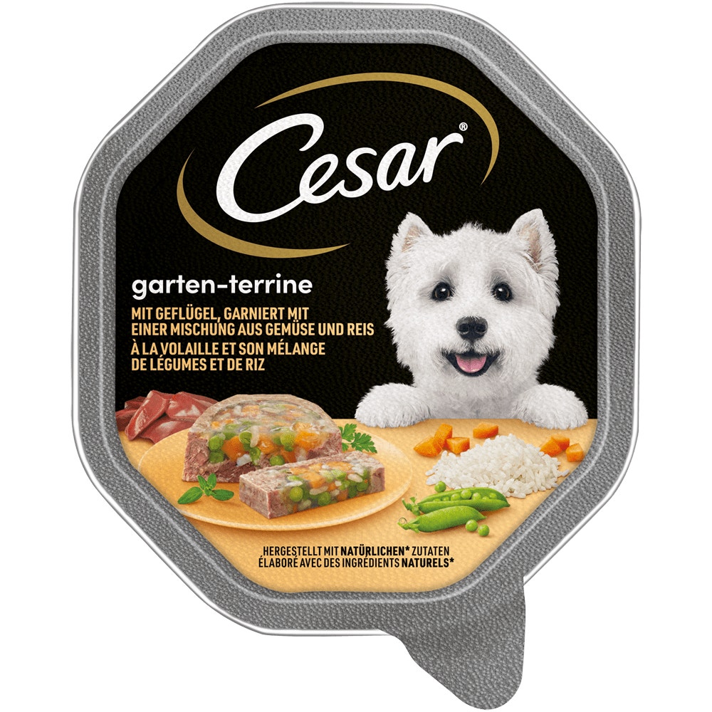 CESAR® Garten-Terrine mit Geflügel, Gemüse und Reis, Schale 150g - 1