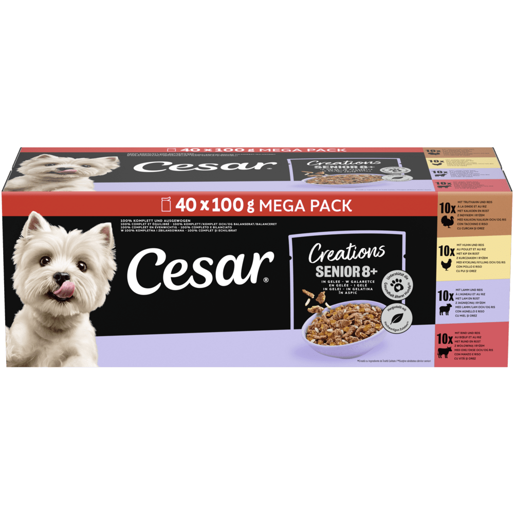 CESAR® Creations Senior 4 Varietäten Rind, Huhn, Lamm, Truthahn in Gelee, Multipack 40 x 100g - 1