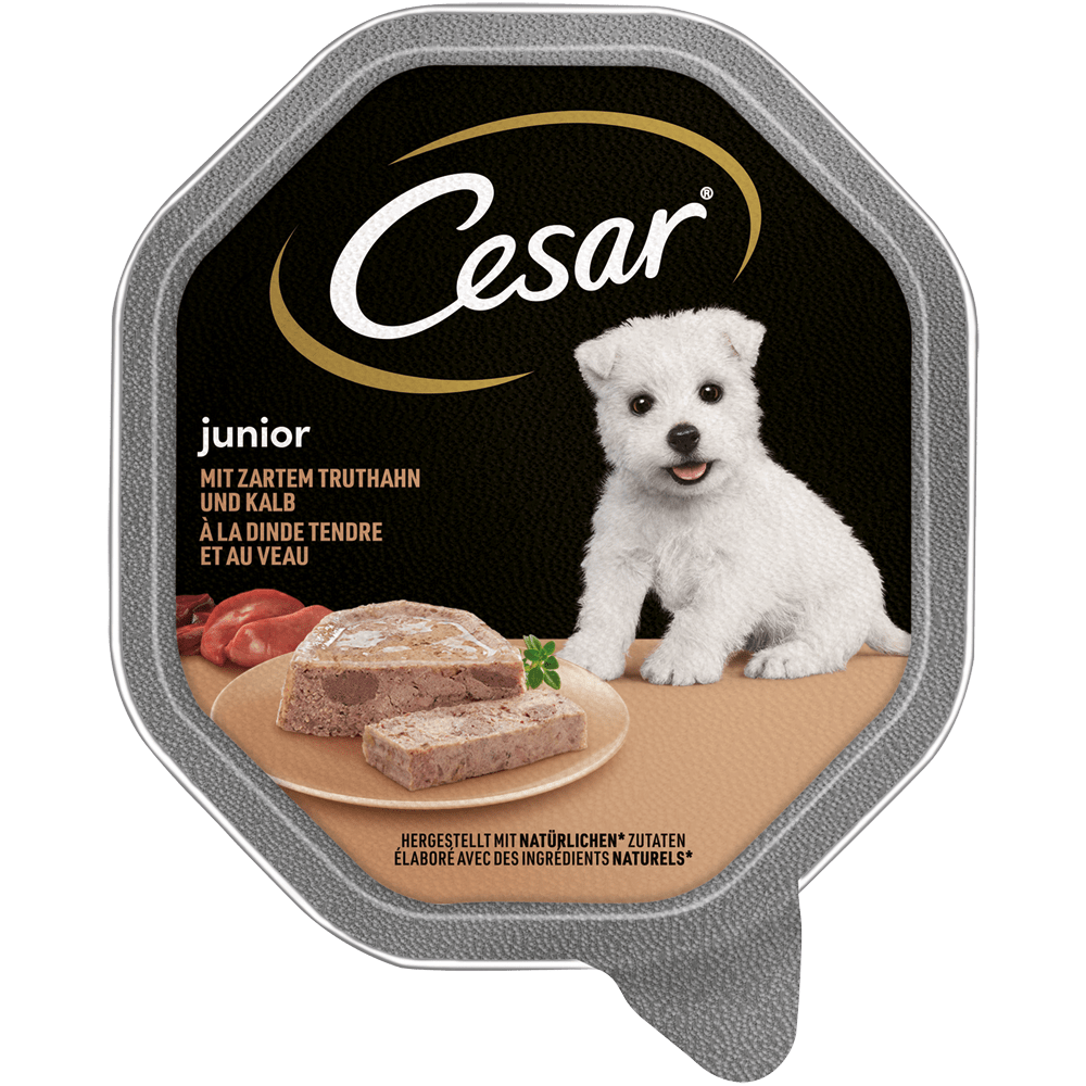 CESAR® Junior mit Truthahn und Kalb, Schale 150g - 1