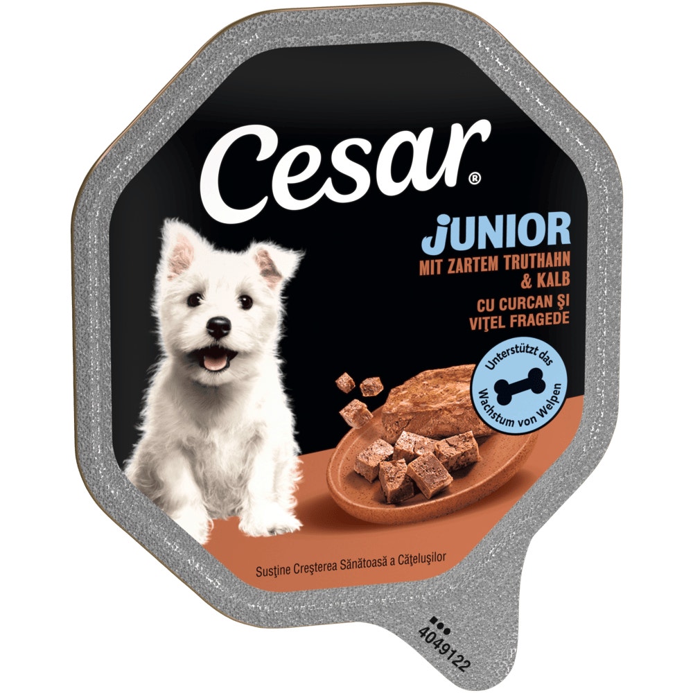 CESAR® Junior mit Truthahn & Kalb, 150g - 1