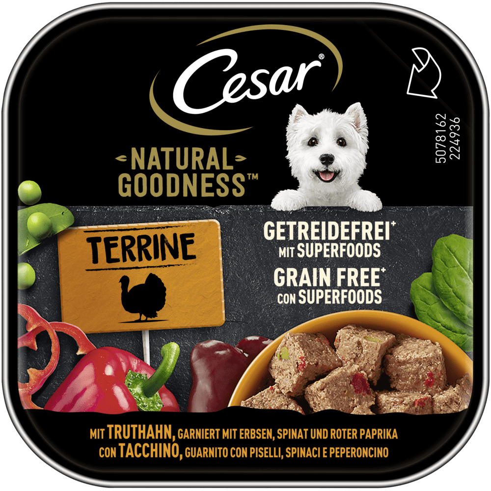 CESAR® NATURAL GOODNESS™ Terrine mit Truthahn, getreidefrei, mit Superfoods, Schale 100g - 1