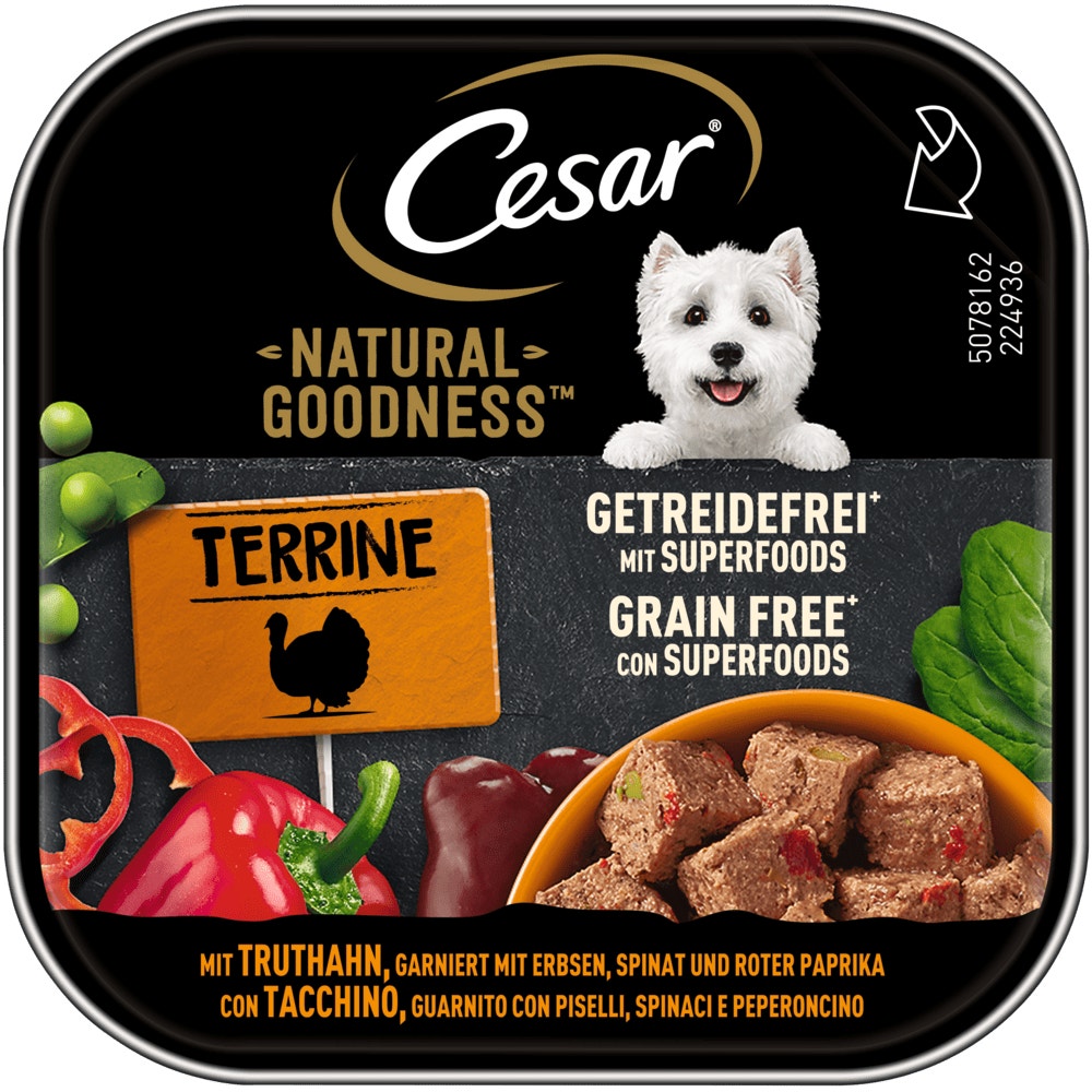 CESAR® NATURAL GOODNESS™ Terrine mit Truthahn, getreidefrei, mit Superfoods, Schale 100g - 1