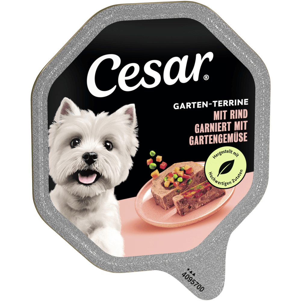 CESAR® GARTEN-TERRINE Rind & Gemüse, Schale 150 & 300g - 1