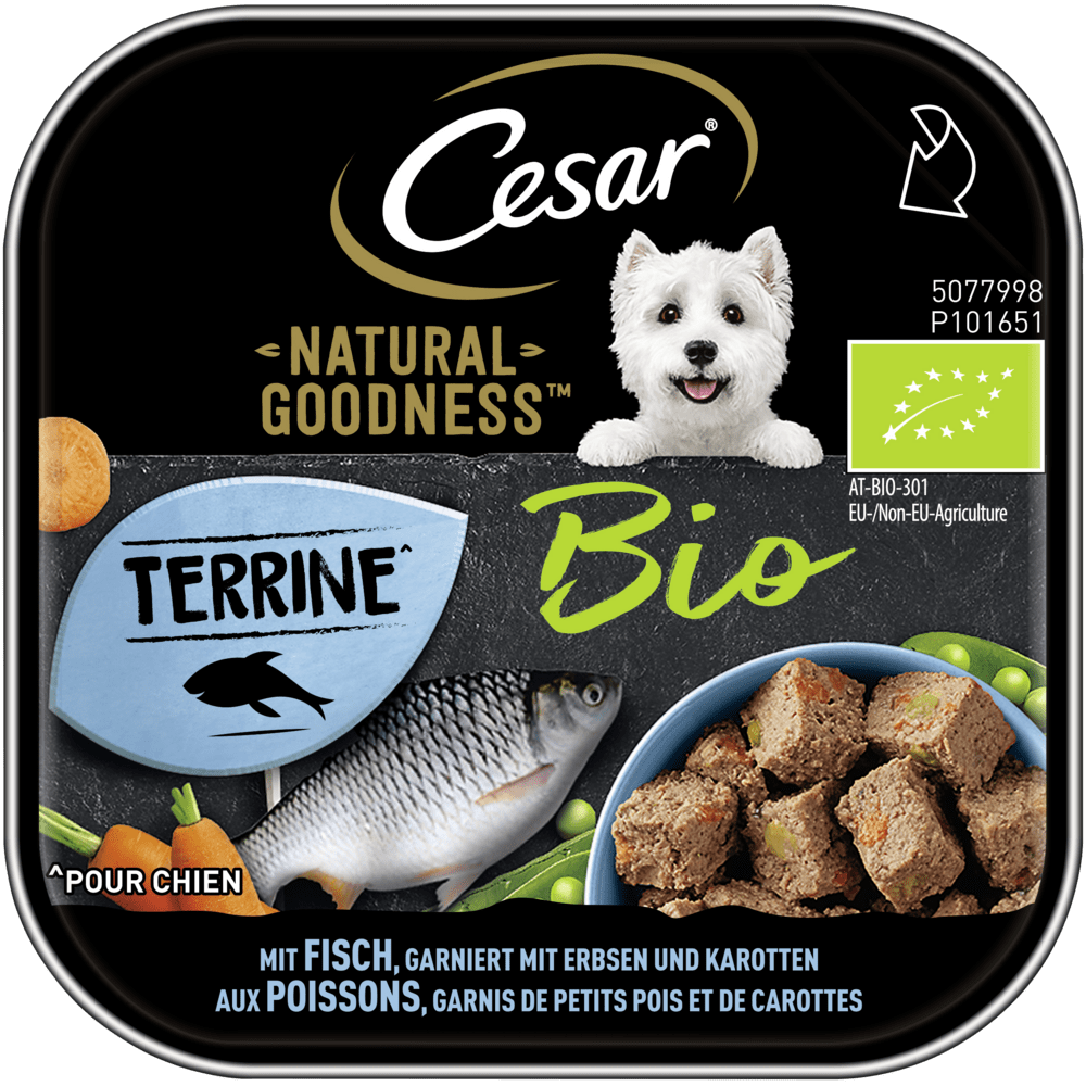 CESAR® NATURAL GOODNESS™ Terrine Bio mit Fisch, Schale 100g - 1