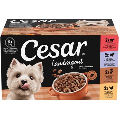 Landragout 4 Varietäten, Schale