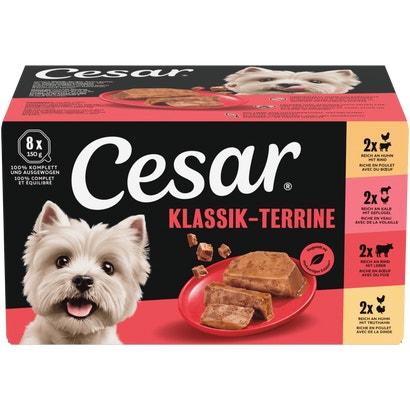 KLASSIK-TERRINE 4 Varietäten, Schale