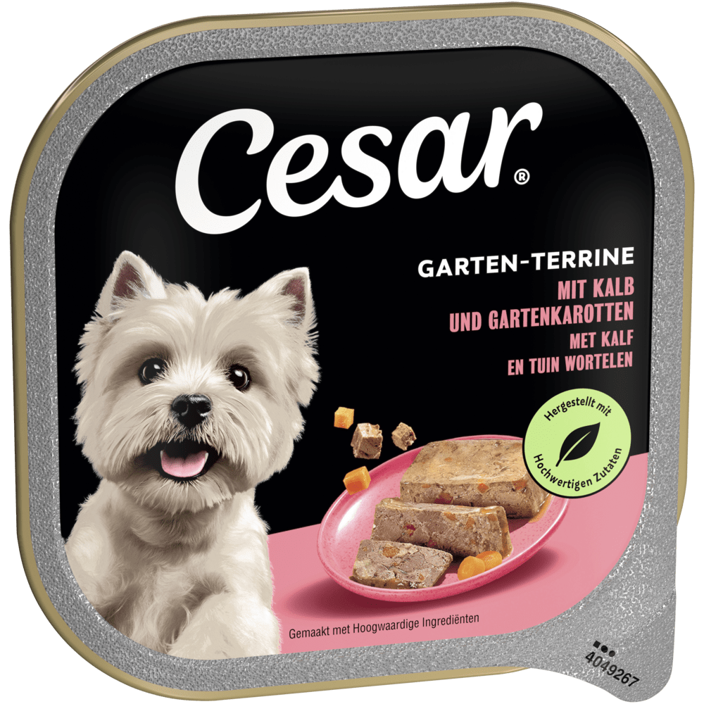 GARTEN-TERRINE Kalb & Karotte, Schale