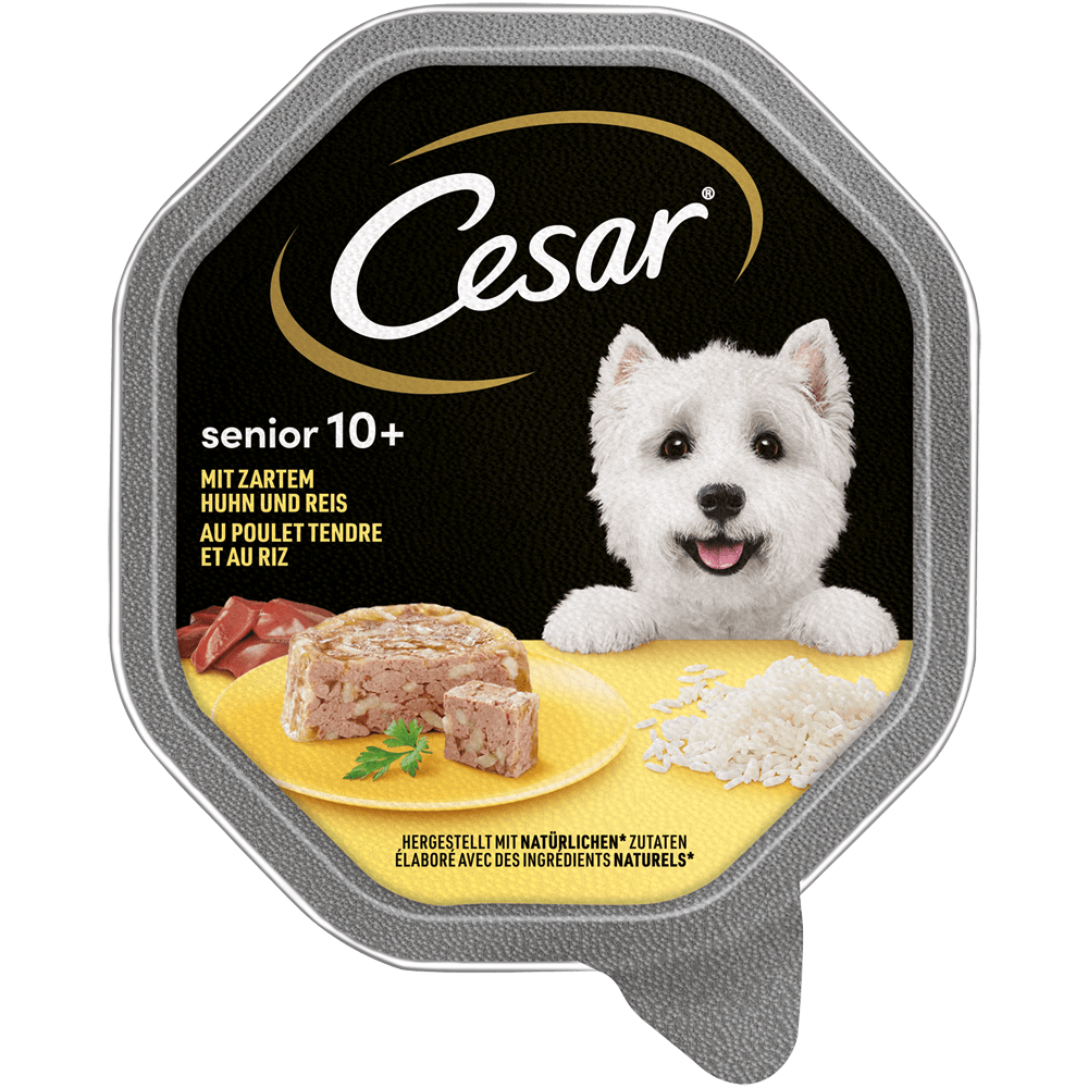 fressnapf hundebett Sabro Hundebett KUDDE Kunstleder mit Spezial Kern von Sabro – Marigin  Onlineshop main image 1