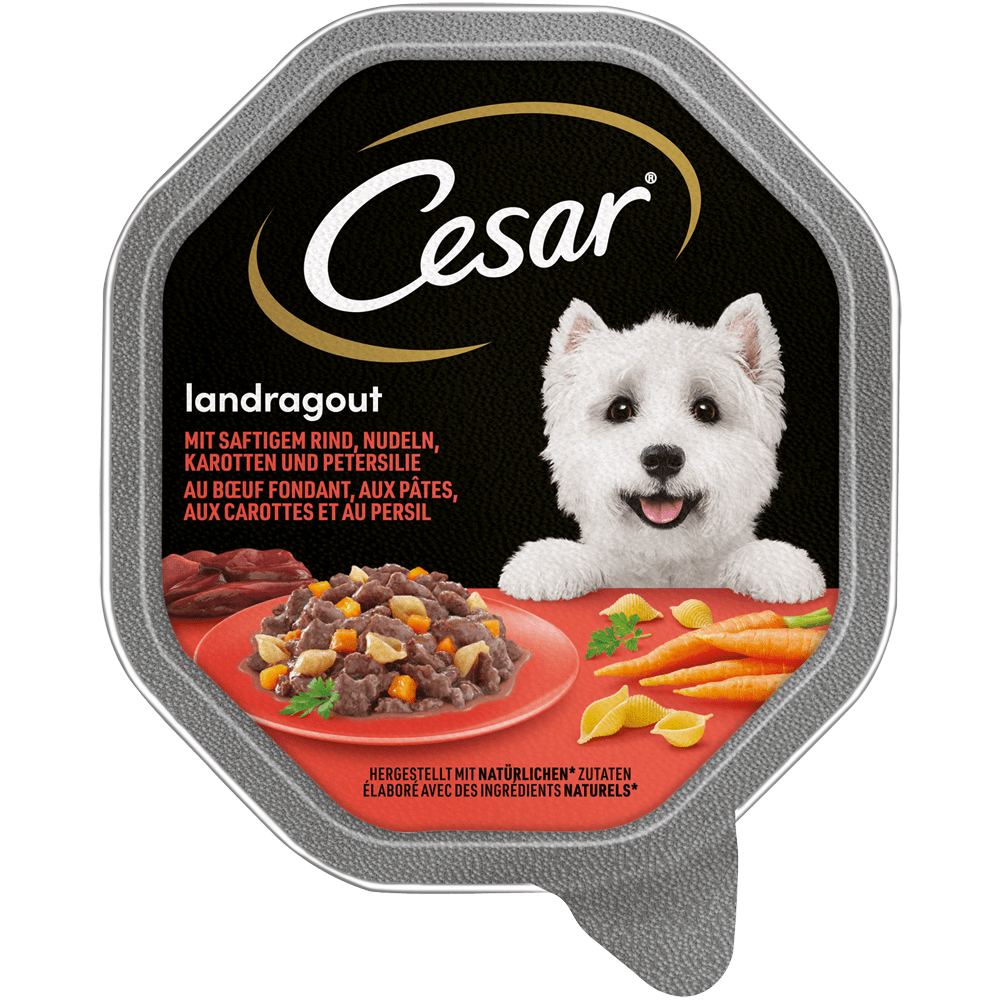 CESAR® Landragout mit Rind, 150g | Nassfutter