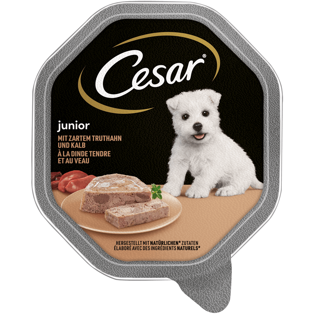 CESAR® Junior mit Truthahn &amp; Kalb, 150g | Nassfutter